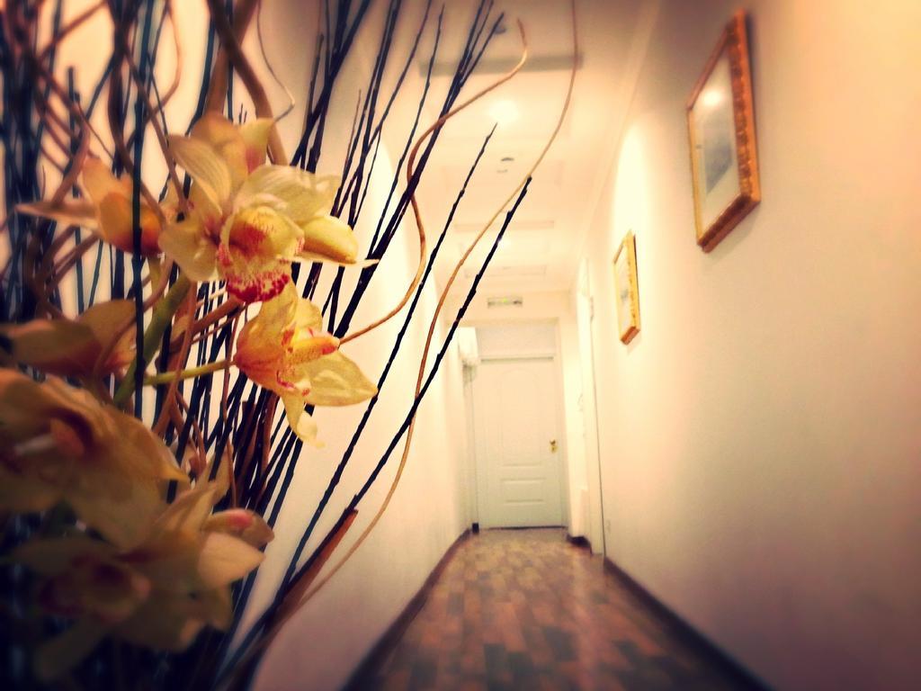 مبيت وإفطار روما Residenza Domiziano المظهر الخارجي الصورة